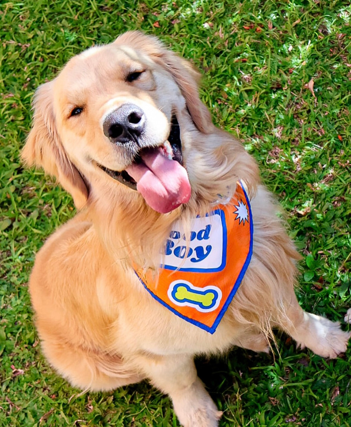 GRG! PET Bandana